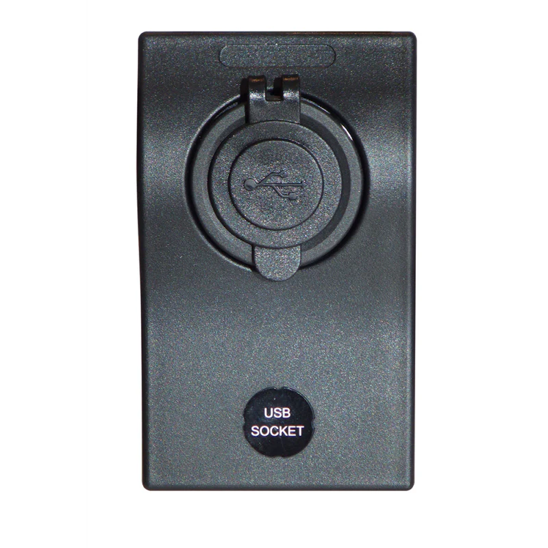 A.A.A. Presa Usb AP-DCS2