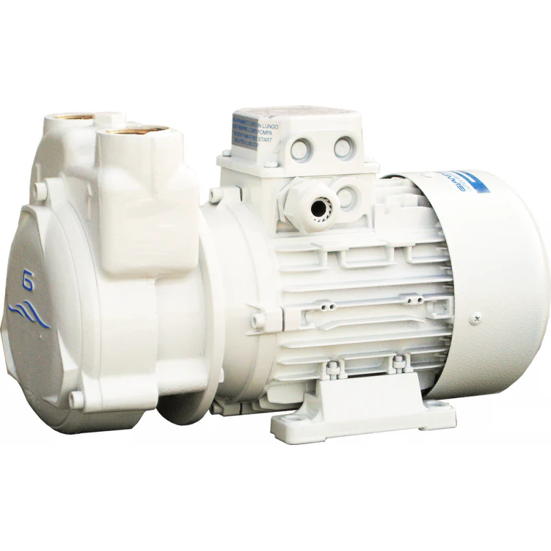 Gianneschi Elettropompa Cp30 24 V - Image 2