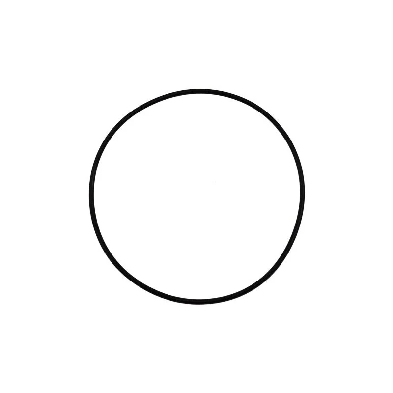 O-ring 43990-0066 - Image 2
