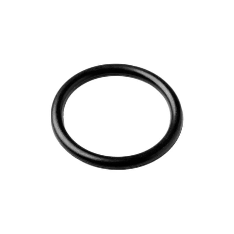 O-ring Pistone Wc Manuale - Image 2