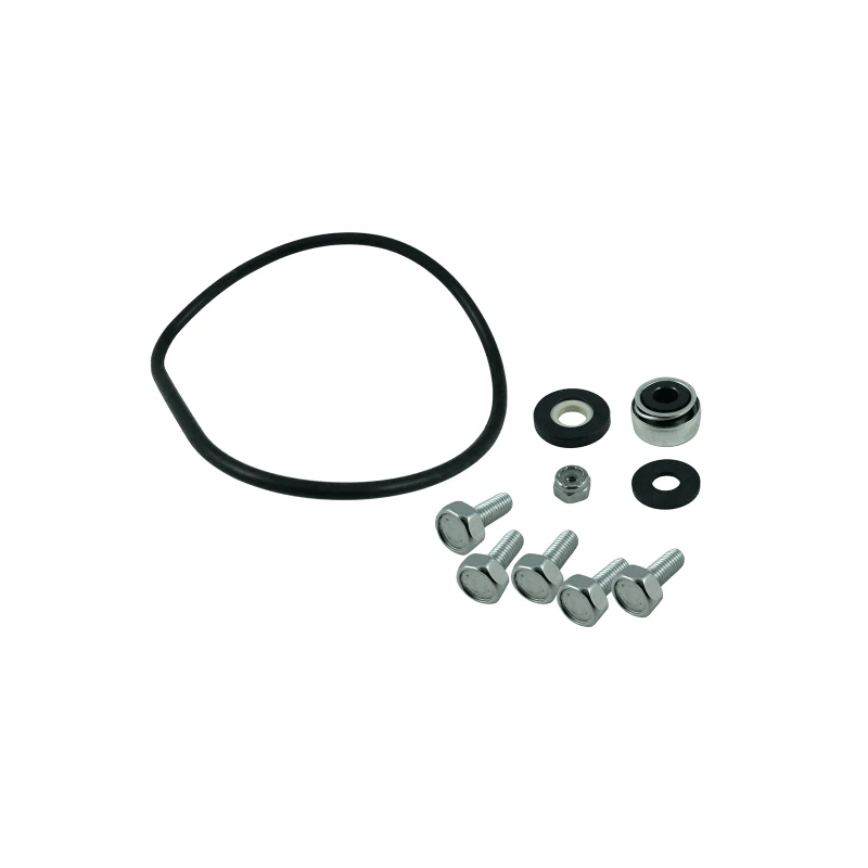 Service Kit (b) per Pompe Cyclone Lp - Image 2