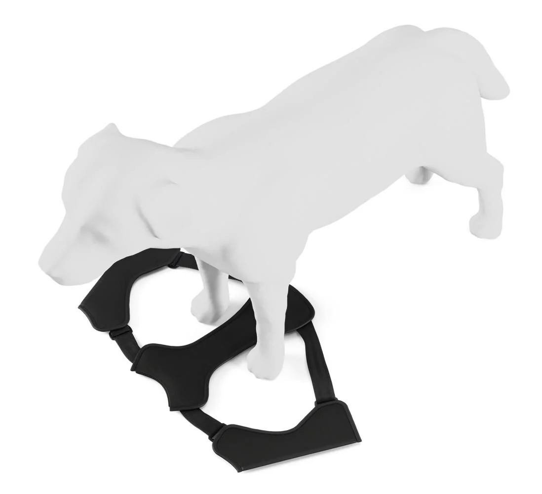 Thule Cappy Imbragatura Per Cani S - Image 6